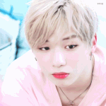 [워너원] 이러면 안되는데 낼 뮤비 풀버전뜨면