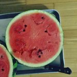 [ㄱㄱ] <b>수박</b>모자이크병 팩트 확인들어감.