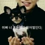 [워너원] 이거 졸라 <b>위협</b>적이야