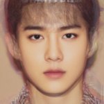 [EXO] 엑소평균얼굴봄?ㅋㅋ<b>최신버전</b>