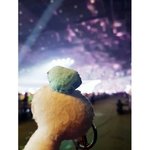 [세븐틴] <b>봉봉</b>이 뒤통수