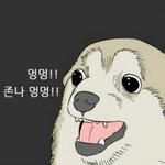 [인피니트] 사생은 <b>아웃</b>!