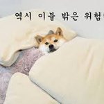 [워너원] 쇼콘<b>이후</b>에