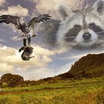 군함도 말고 <b>박열</b>을 보자