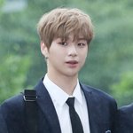 [워너원] 이 짤이 최고인 거 같다 댕댕미....