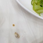 [댓글부탁해] <b>지리</b>탕에서(약혐