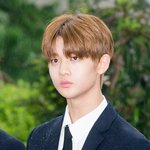 [워너원] <b>배진영</b> 대박이다
