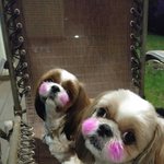 울소주와 <b>이슬</b>이예요~~