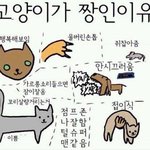 <b>양씨</b>에 어울리는이름 뭐있을까