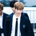 [워너원] 다녤 진짜로 무슨