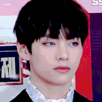 [방탄소년단] 같은 플래시 다른반응