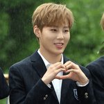 [워너원] <b>우산</b>을 필ㄹ힘조차 없네요,,,,,