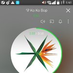 [EXO] 나 이거 스밍 제대로 돌리는거 맞음????