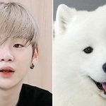 [워너원] 설마 애기들 활동할때 <b>레게머리</b> 안하겠지