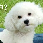 [드루와] ? 나 4개월전보다