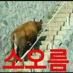 [EXO] <b>샤이니</b>만보면 초동8만장생각남