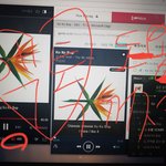 [EXO] 스밍이나해 이것들아