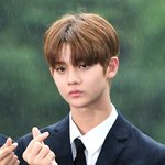 [워너원] 세상에서 가장 슬픈 손가락 하트