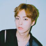 [시우민] <b>Vogue</b> 웹사이트에 엑소와 시우민