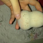 [댓글부탁해] ;; 똥<b>퍼프</b>에 곰팡이핌