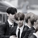 [워너원] 이거 맞다이뜨러가는 짤같음