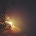 [내가한요리] 31살 <b>IT</b>개발자의 집요리 16가지