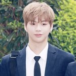 [워너원] 갠적으로 발리는 포인트