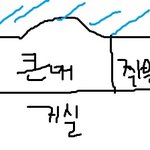 [조언부탁] 강아지를 "키울 줄 모르는" 가족들 때문에 미치겠습니다...