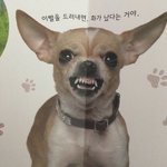 [댓글부탁해] 나 <b>지성</b>인지 건성인지 모르겠는데 도와주라..