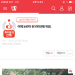 [워너원] 애들아 이글가서 댓글 정화해줘ㅠㅠ