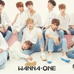 [워너원] ⭐️⭐️⭐️ㅂㅁㄱ 좀 잘하자⭐️⭐️⭐️