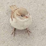 [워너원] <b>참새</b>가 워너원된건지.. 우진이가 워너원된건지..