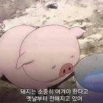 ㅅㅂ나 치킨너무많이먹엇<b>나바</b>