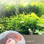 [방탄소년단] +짐니태태숲)오늘자 전정국 숲임ㅇㅇ