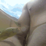 세1야 유튜브 보다보면 진짜 토나오더라