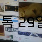 [EXO] <b>뮤스</b>도 돌리자
