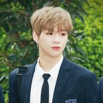 [워너원] 이거 와 다니엘ㅅㅂ........