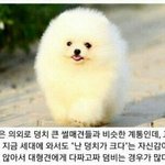 [드루와] 이름적고가면 이름에서 생각나는 느낌 적어줄게!