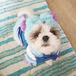 [댓글부탁해] 여드름 <b>패치</b> 추천좀ㅠㅠㅠㅠㅠㅠ급해