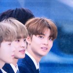 [워너원] 넘나 스트레스... (링크ㅇ)