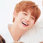 [워너원] <b>다음</b>주에 애들 해퓌투게덩 나오는데 왜