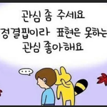판하는 인간들아 <b>표현</b>좀똑바로해^^