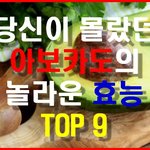 당신이 몰랐던 아보카도의 놀라운 효능 <b>TOP</b> 9