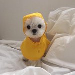 복면가왕 <b>영희</b> 옥주현같지않아?