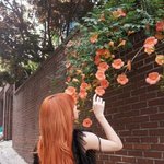 [모두드루와] 도대체 왜 아이돌끼리 엮어서 루머 퍼트리는건지 모르겠음