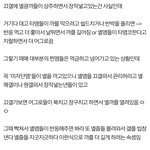 [워너원] 이상황에 미안한데 <b>엔터</b>든 팬톡이든 녤팬으로 ㅇㄱㄹ끄는애