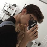 고냥이+<b>서양</b>남자=love