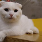 [여자의심리] <b>매력</b>있는 남자는 <b>어떤</b> 거야?