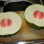먹는 걸로 <b>배신</b>당한 사람들 ㅜㅜ