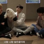 [워너원] 이거 <b>어디</b>서 나온거야??
